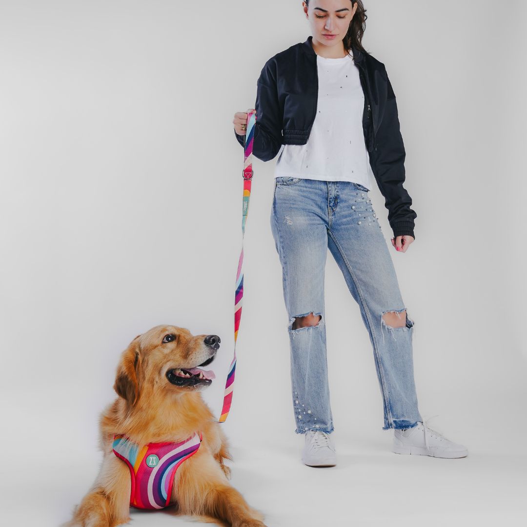 Zoomiez Adjustable Step-in Mesh Dog Harness, Collar & Leash Co-ord Set - Swirl