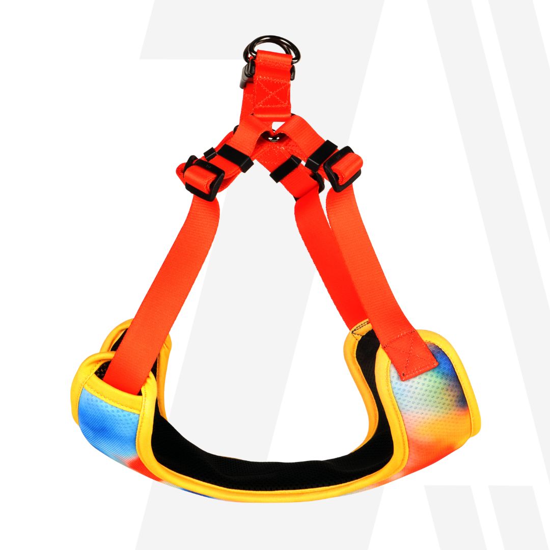 Zoomiez Adjustable Soft Mesh Cat Harness - Splash