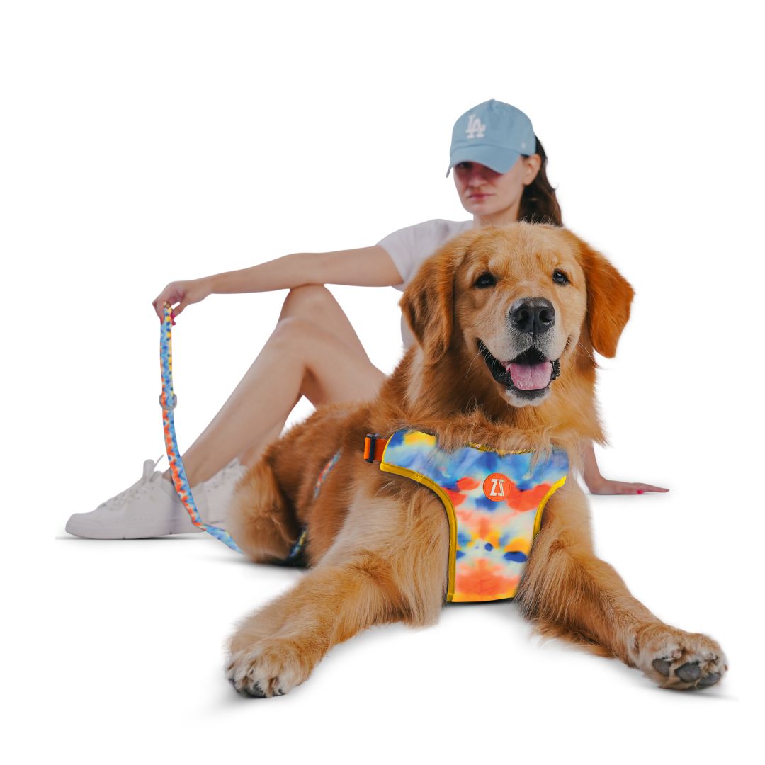 Zoomiez Adjustable Step-in Mesh Dog Harness - Splash