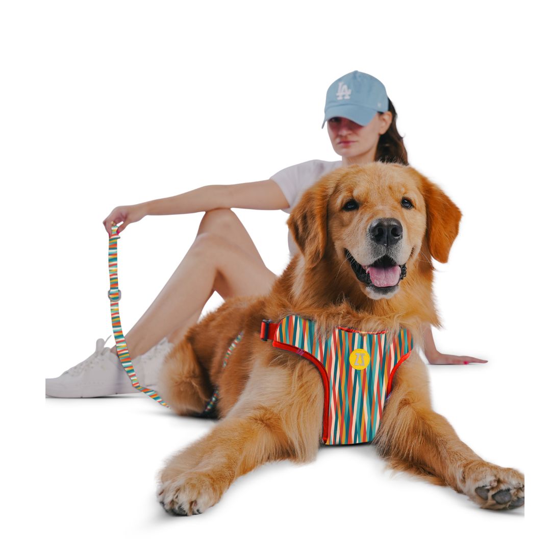 Zoomiez Adjustable Step-in Mesh Dog Harness - Tango