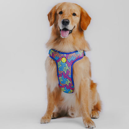 Zoomiez Adjustable Step-in Mesh Dog Harness - Bolt