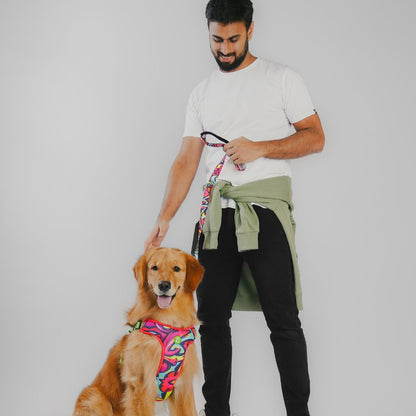 Zoomiez Adjustable Step-in Mesh Dog Harness & Leash Co-ord Set - Drip