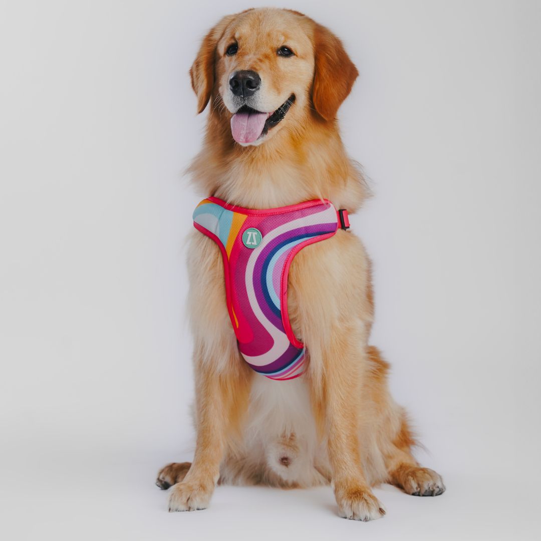 Zoomiez Adjustable Step-in Mesh Dog Harness - Swirl