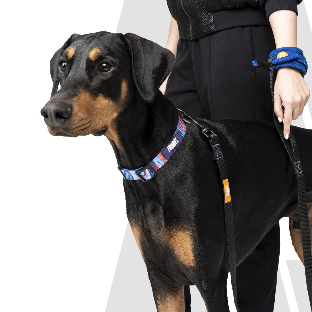 Zoomiez Hands-Free Mesh Dog & Cat Leash - Royal Blue