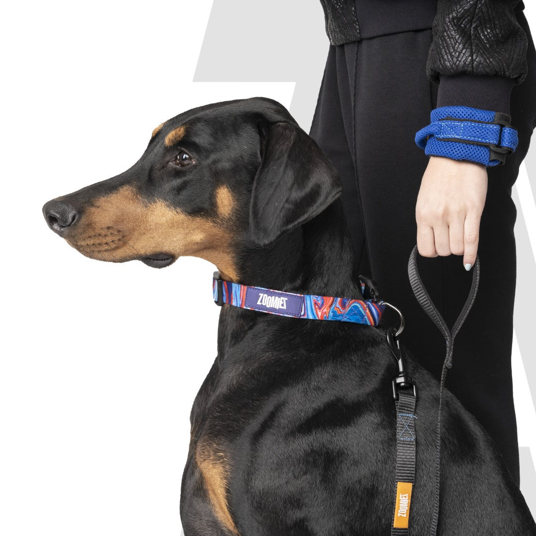 Zoomiez Hands-Free Mesh Dog & Cat Leash - Royal Blue