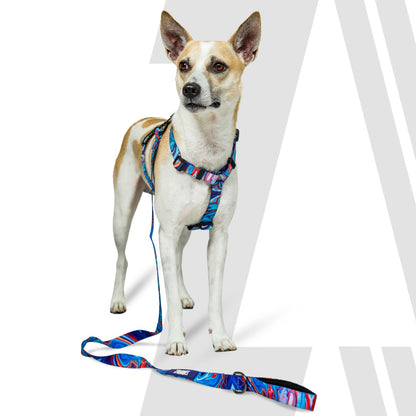 Zoomiez Printed H-Harness For Dogs - Fluid