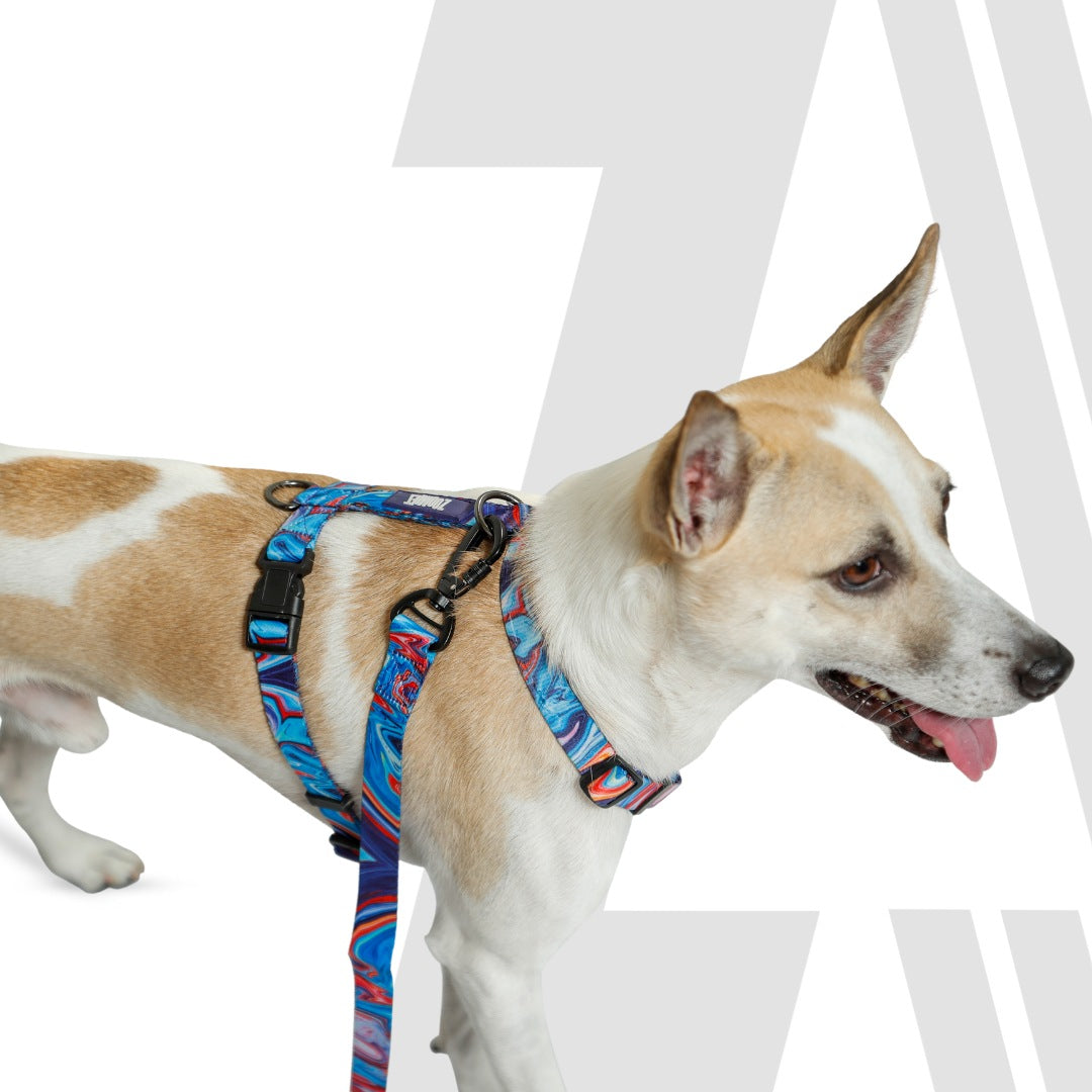 Zoomiez Printed H-Harness For Dogs - Fluid