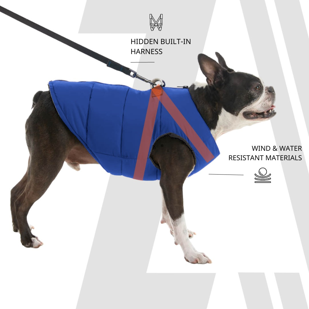 Zoomiez Ultimate Dog Jacket With Built In Harness - Navy Blue