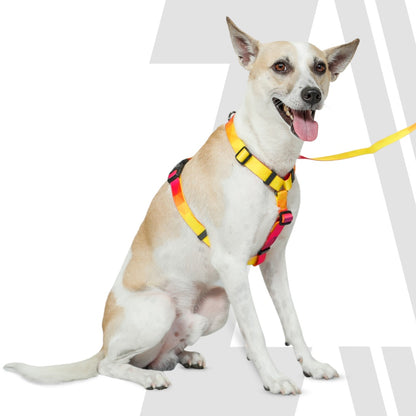 Zoomiez Printed H-Harness For Dogs - Solar