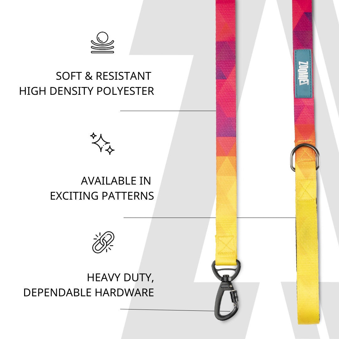 Zoomiez Printed Dog Leash - Solar