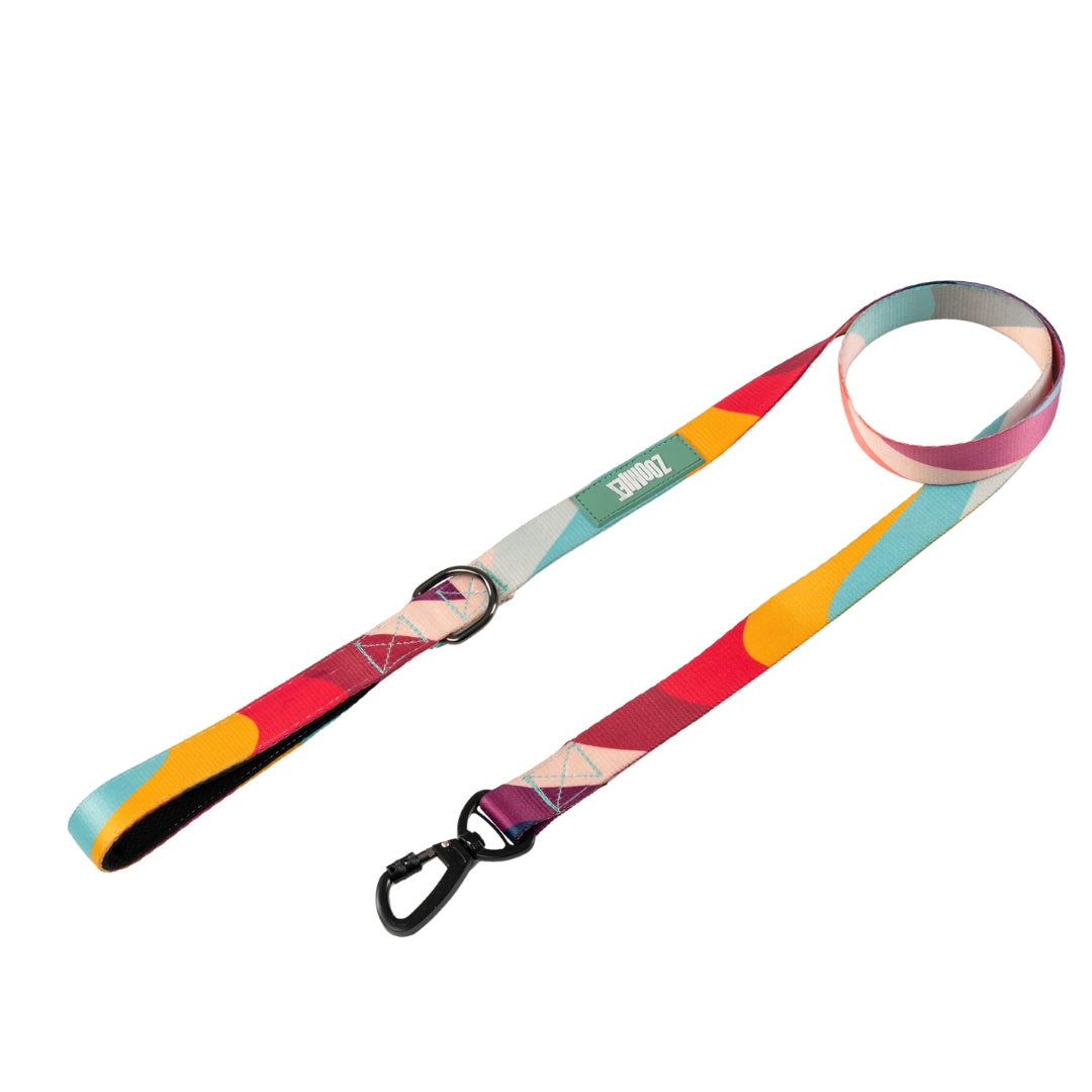 Zoomiez Printed Dog Leash - Swirl