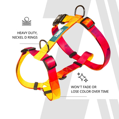 Zoomiez H-Harness & Tuff Leash Co-ord Set - Solar