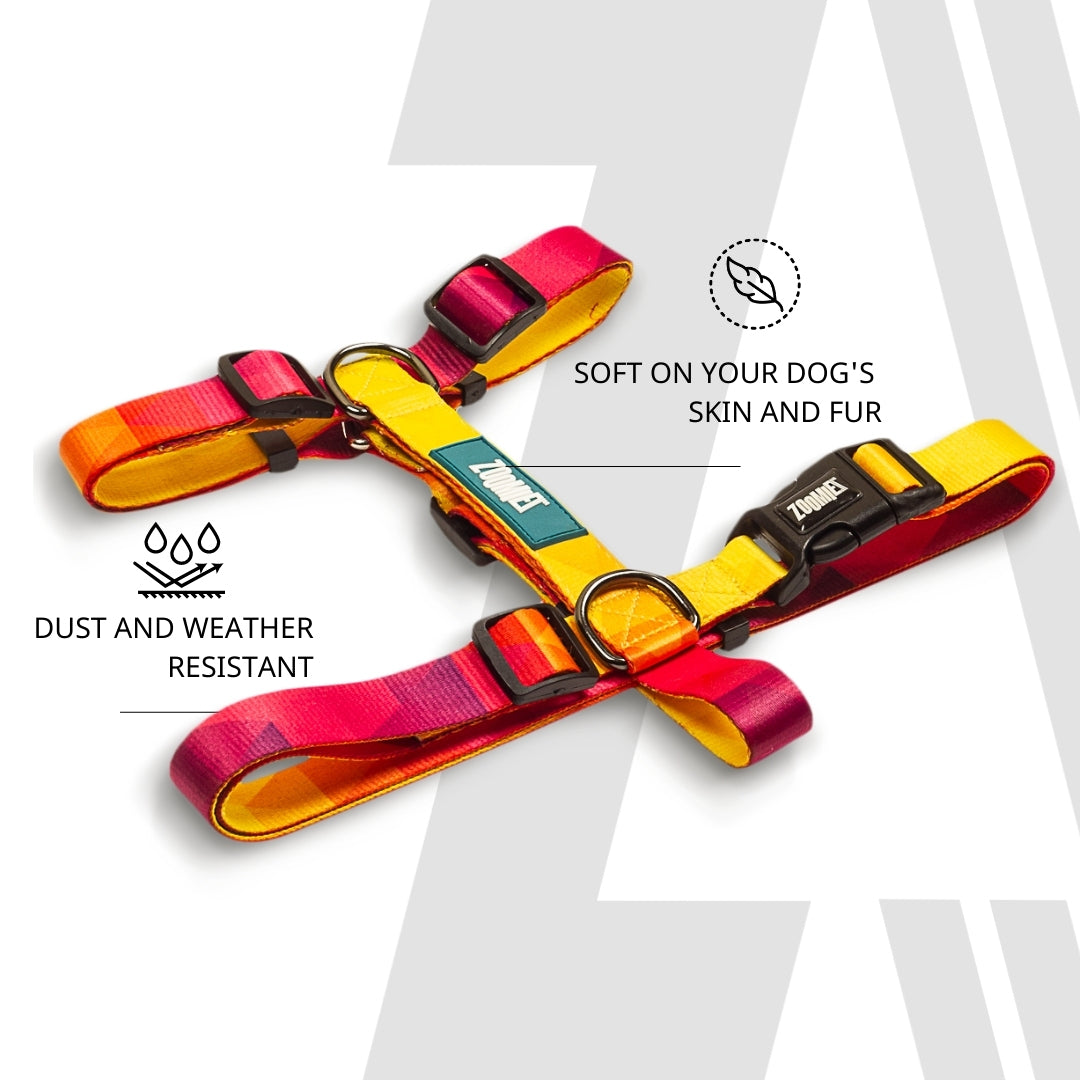 Zoomiez H-Harness, Printed Collar & Tuff Leash Co-ord Set - Solar