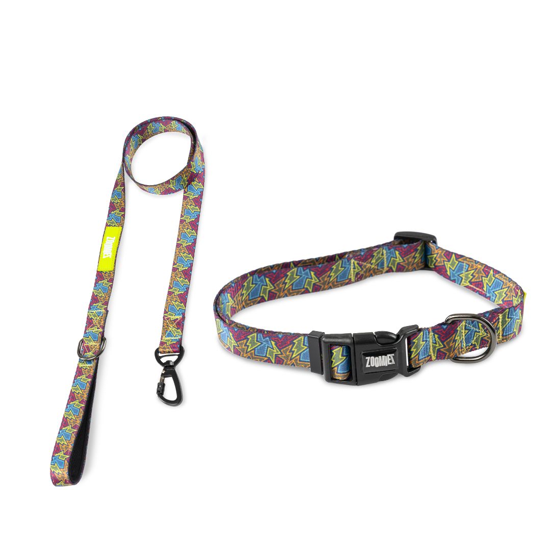 Zoomiez Printed Dog Collar & Leash Co-ord Set - Bolt