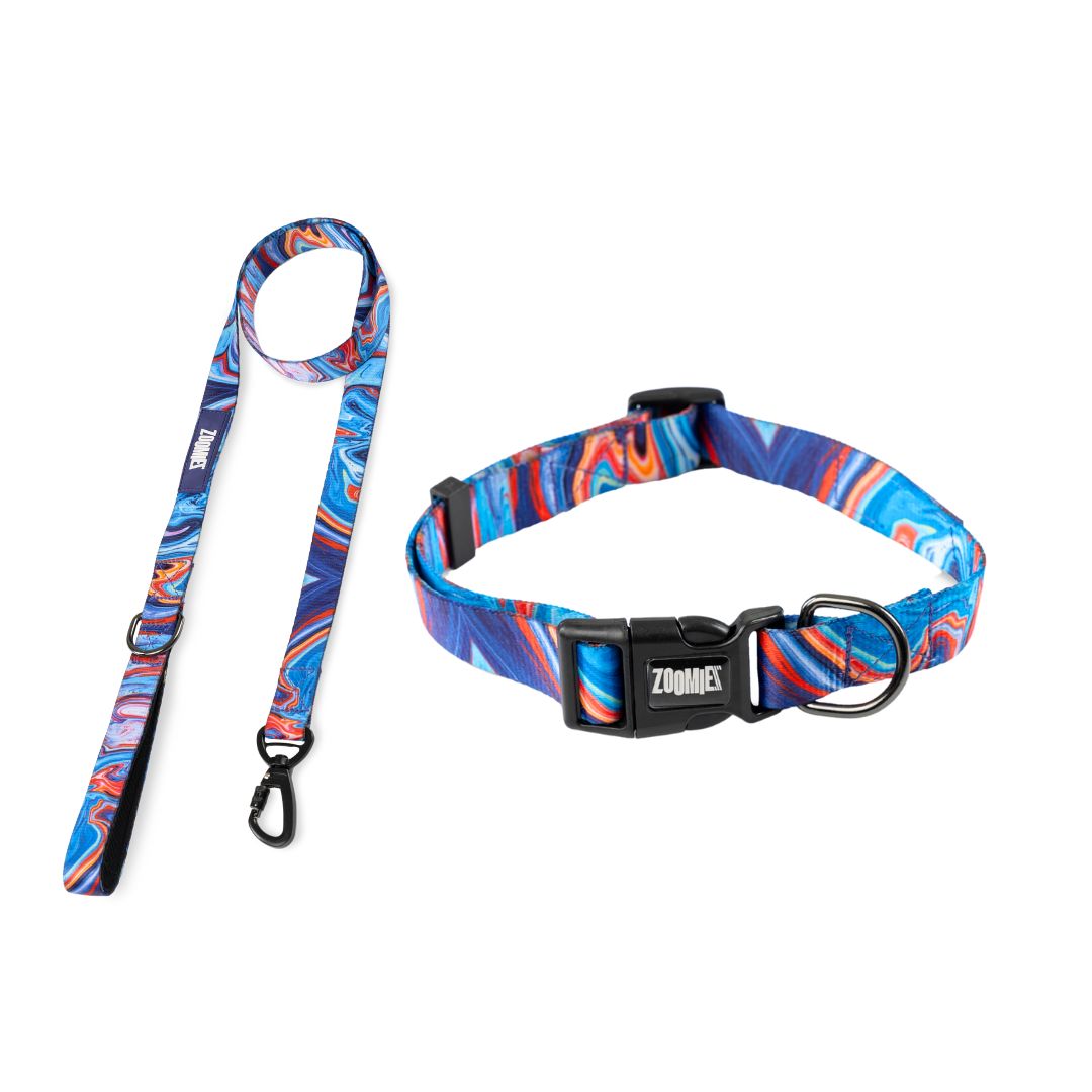 Zoomiez Printed Dog Collar & Leash Co-ord Set- Fluid