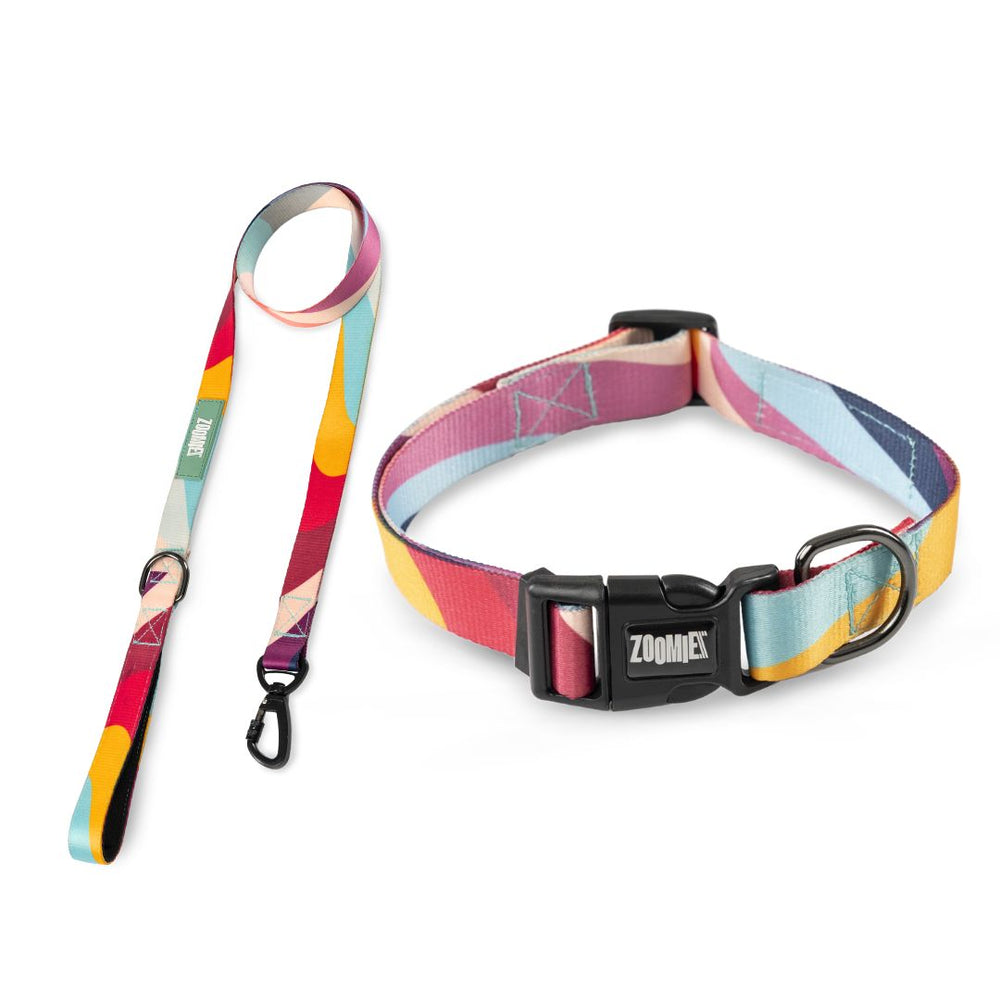 Zoomiez Printed Dog Collar & Leash Co-ord Set - Swirl