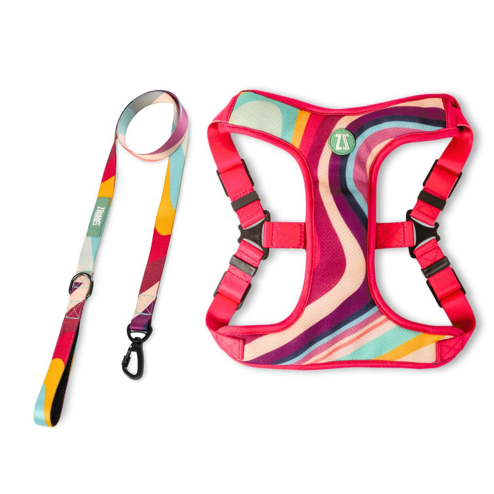 Zoomiez Adjustable Step-in Mesh Dog Harness, Collar & Leash Co-ord Set  -  Swirl