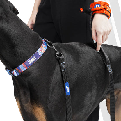 Zoomiez Hands-Free Mesh Dog & Cat Leash - Orange