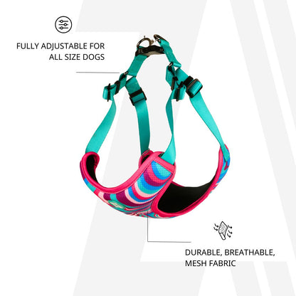 Zoomiez Adjustable Soft Mesh Cat Harness & Hands-Free Leash Co-ord Set - Fuse