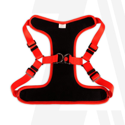 Zoomiez Adjustable Step-in Mesh Dog Harness - Splash