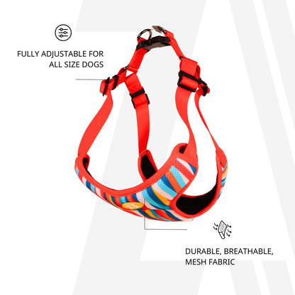 Zoomiez Adjustable Soft Mesh Cat Harness & Hands-Free Leash Co-ord Set - Tango