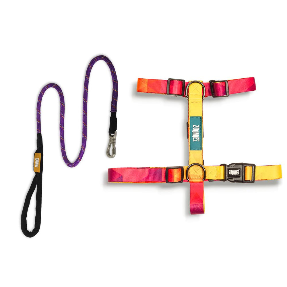 Zoomiez H-Harness & Tuff Leash Co-ord Set - Solar