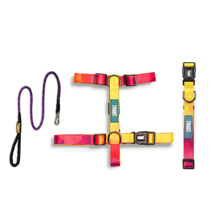 Zoomiez H-Harness, Printed Collar & Tuff Leash Co-ord Set - Solar