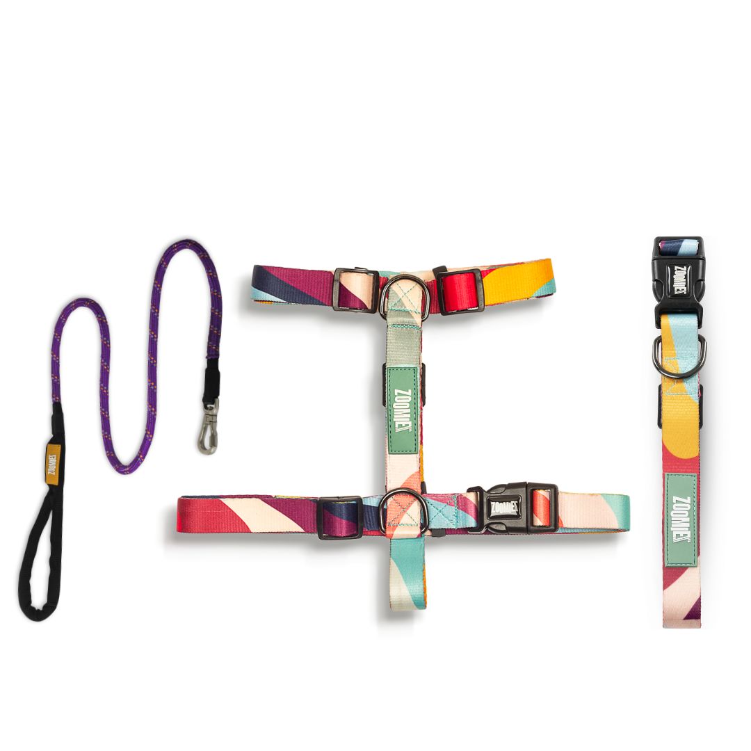 Zoomiez H-Harness, Printed Collar & Tuff Leash Co-ord Set - Swirl