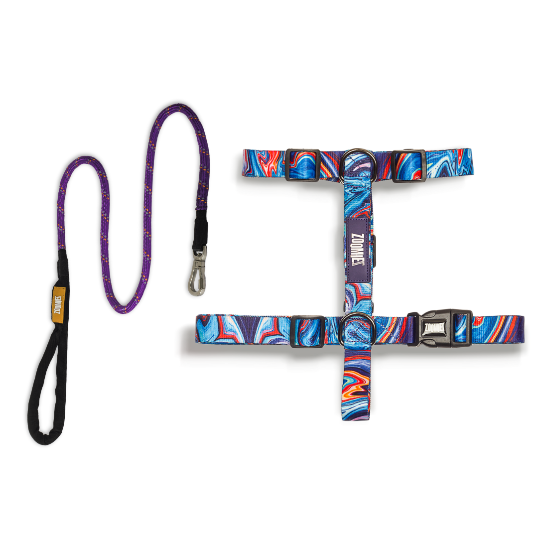 Zoomiez H-Harness & Tuff Leash Co-ord Set - Fluid