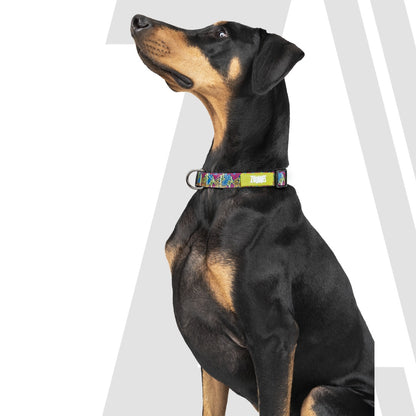 Zoomiez Printed Dog Collar - Bolt