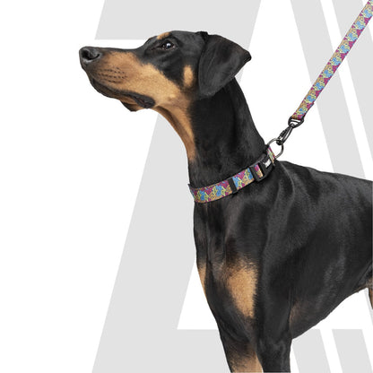 Zoomiez Printed Dog Collar & Leash Co-ord Set - Bolt