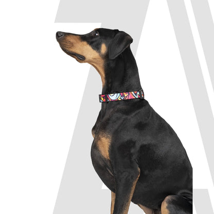 Zoomiez Printed Dog Collar - Drip