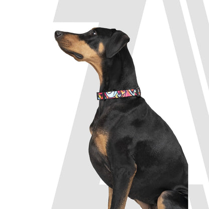 Zoomiez Printed Dog Collar & Leash Co-ord Set - Drip