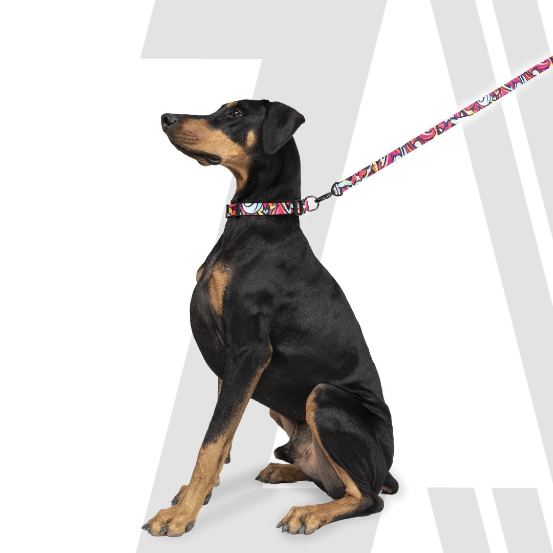 Zoomiez Printed Dog Collar - Drip