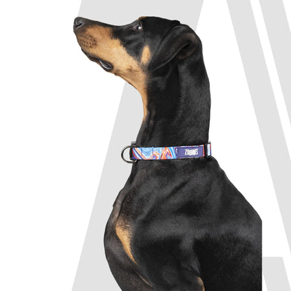 Zoomiez Printed Dog Collar & Leash Co-ord Set- Fluid