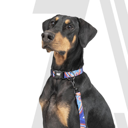 Zoomiez Printed Dog Collar & Leash Co-ord Set- Fluid