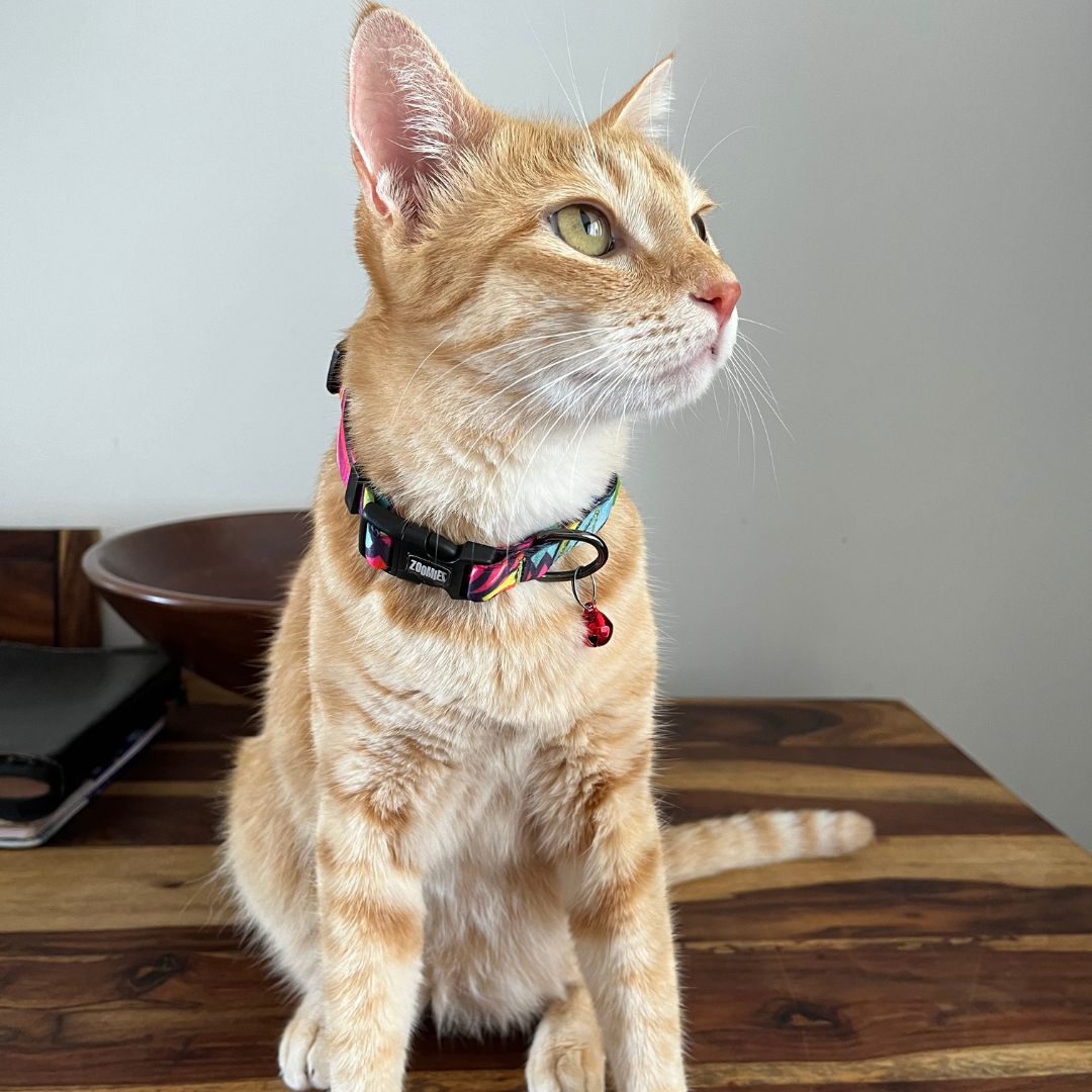 Zoomiez Printed Cat Collar with Bell - Drip