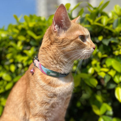 Zoomiez Printed Cat Collar with Bell - Swirl