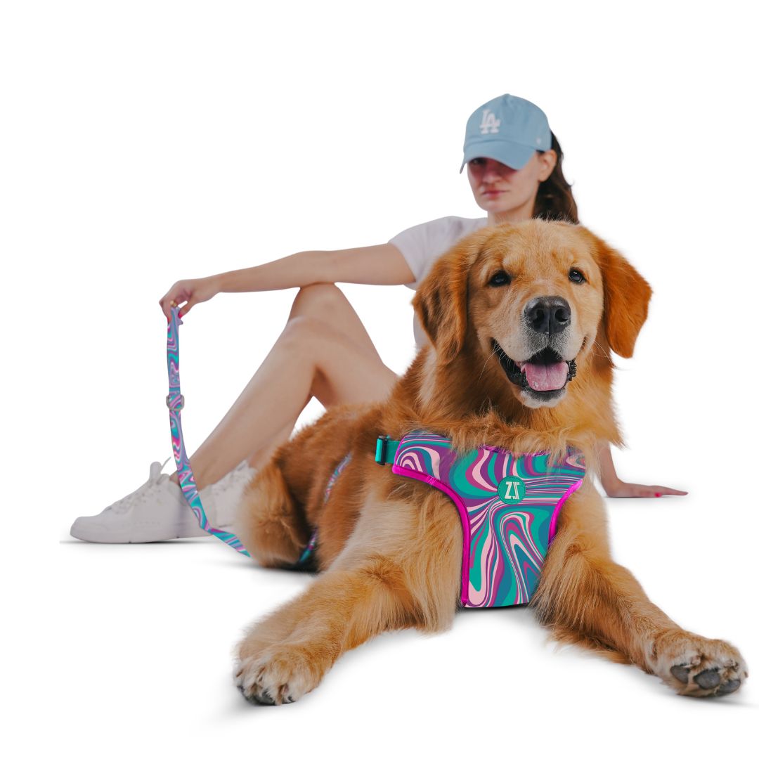 Zoomiez Adjustable Step-in Mesh Dog Harness & Leash Co-ord Set - Fuse