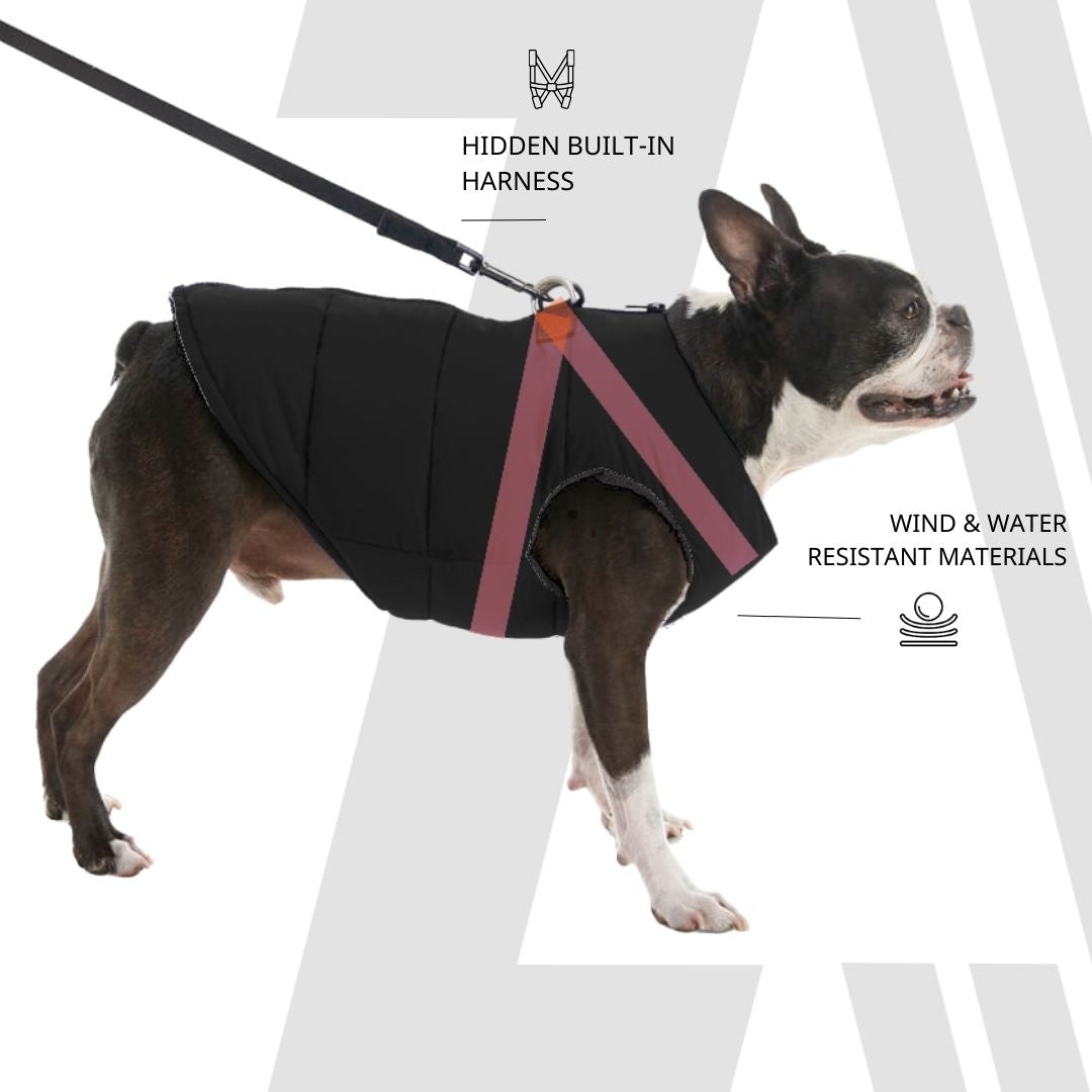 Zoomiez Ultimate Dog Jacket With Built In Harness - Black-Neon