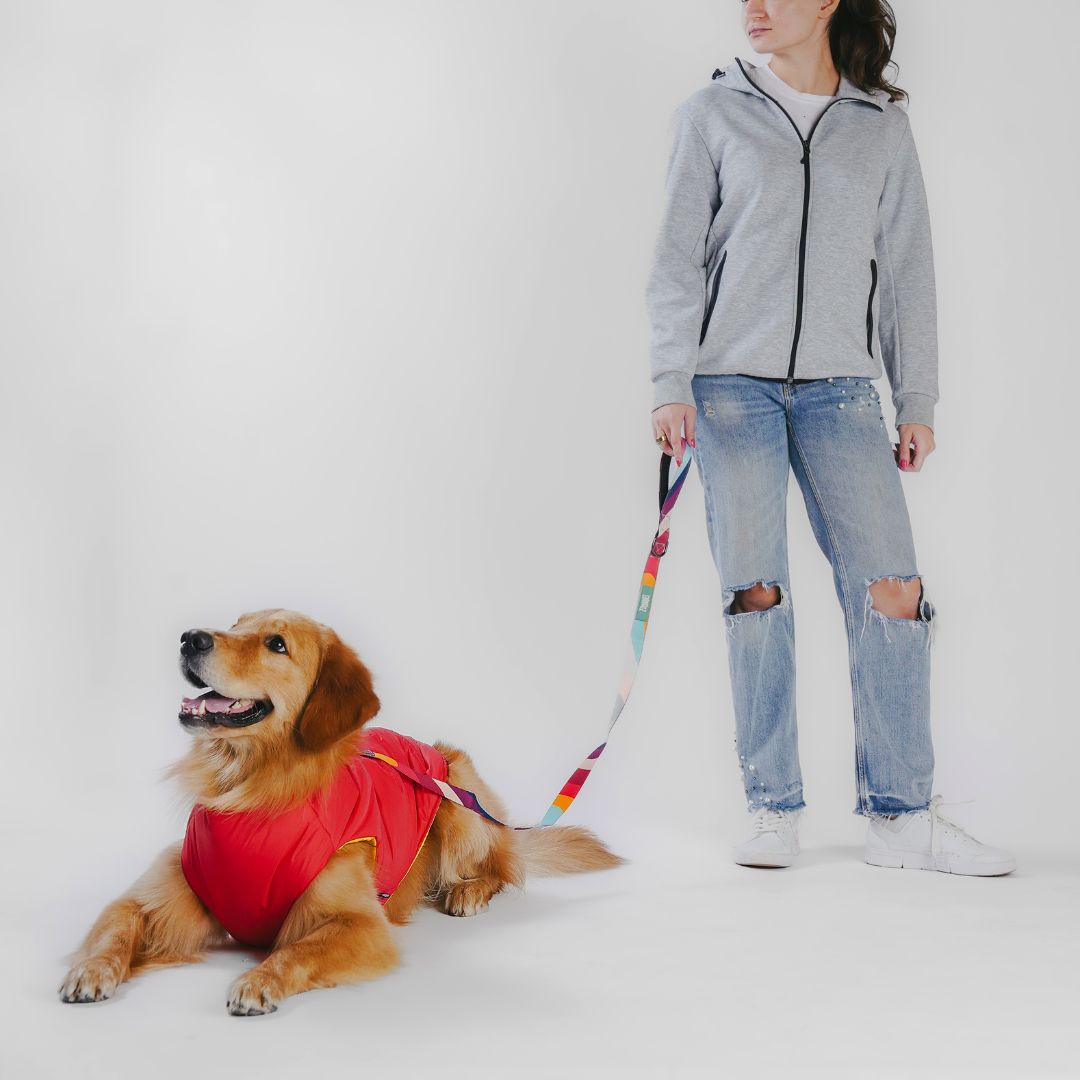 Zoomiez Ultimate Dog Jacket With Built In Harness - Red-Yellow