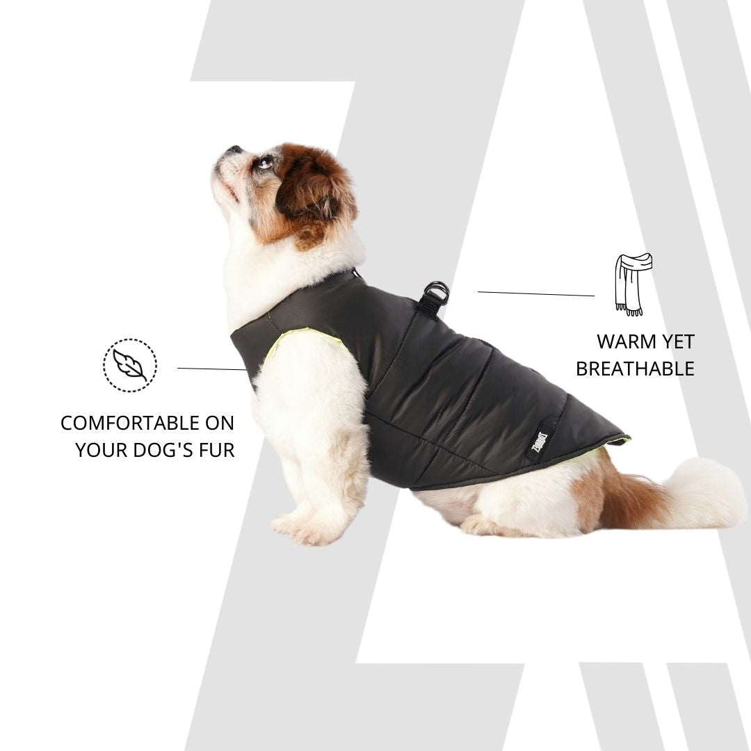 Zoomiez Ultimate Dog Jacket With Built In Harness - Black-Neon