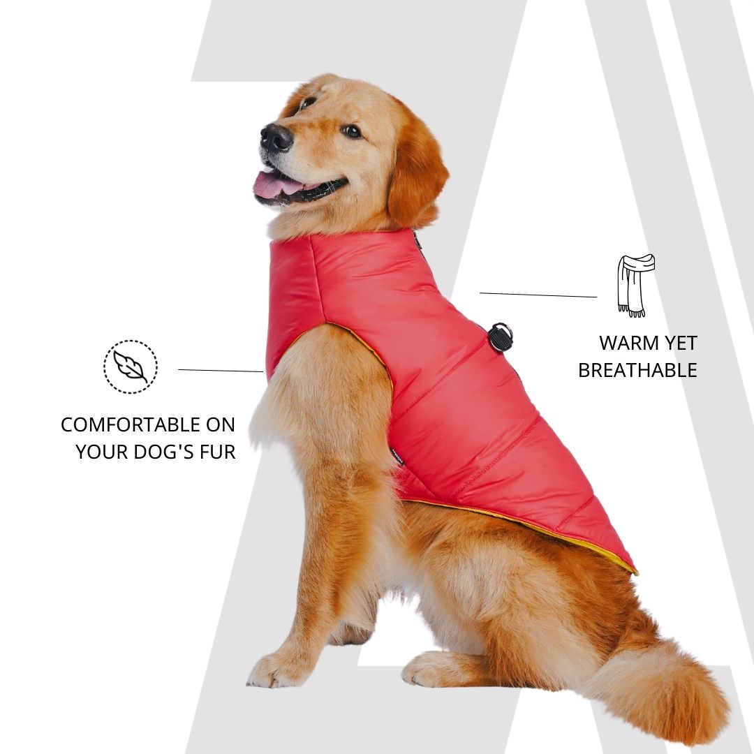 Zoomiez Ultimate Dog Jacket With Built In Harness - Red-Yellow