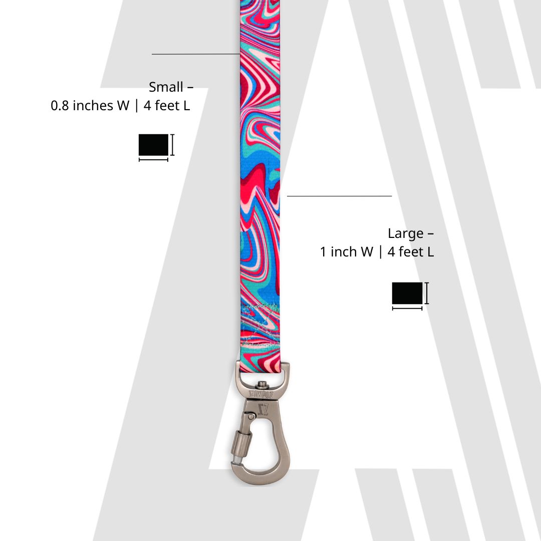 Zoomiez Adjustable Step-in Mesh Dog Harness & Leash Co-ord Set - Fuse