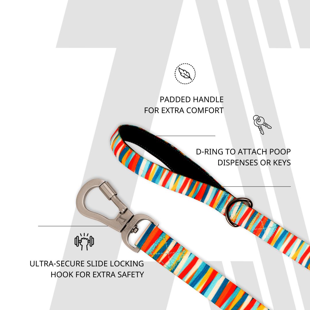 Zoomiez Tango Dog Leash