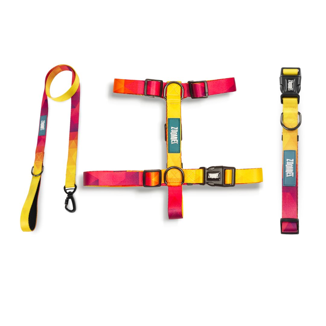 Zoomiez H-Harness, Printed Collar & Tuff Leash Co-ord Set - Solar