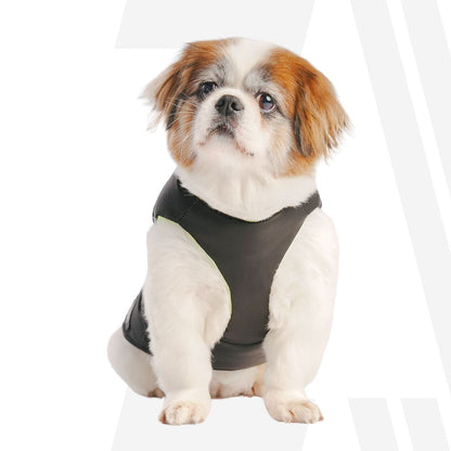 Zoomiez Ultimate Dog Jacket With Built In Harness - Black-Neon