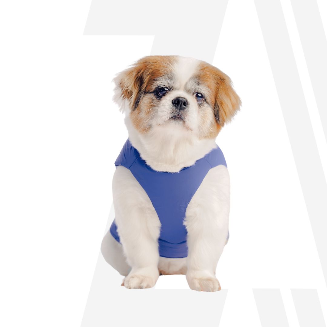 Zoomiez Ultimate Dog Jacket With Built In Harness - Blue-Orange