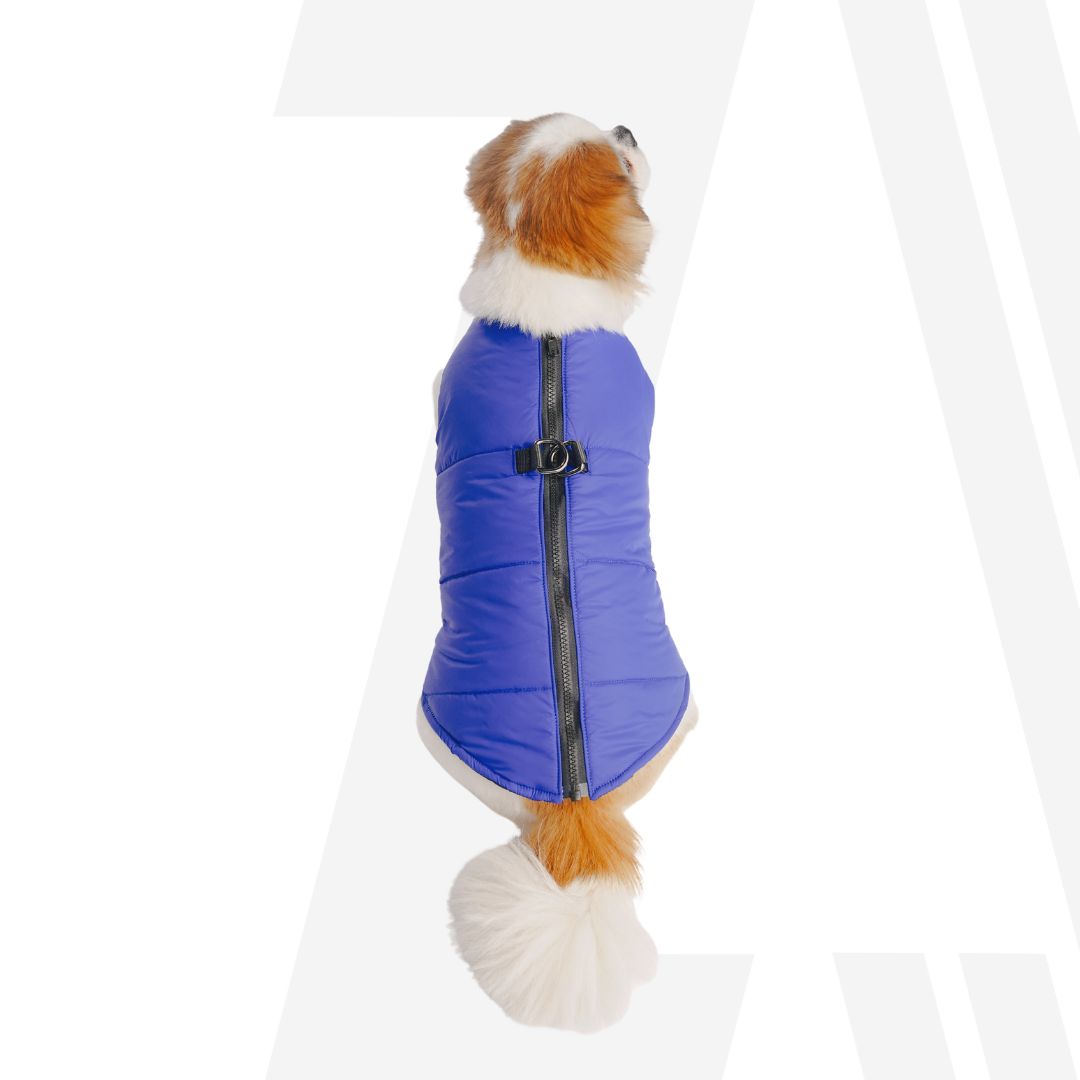 Zoomiez Ultimate Dog Jacket With Built In Harness - Blue-Orange