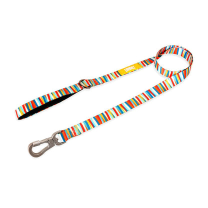 Zoomiez Tango Dog Leash